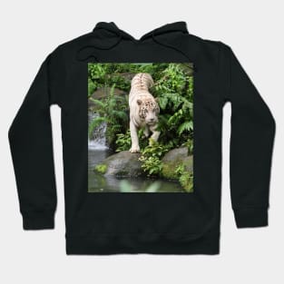 Prowling Along The Riverbed Hoodie